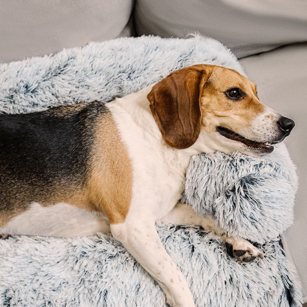 Calming Furniture Protector Dog Bed - Fuzzy Backrest - Image 3