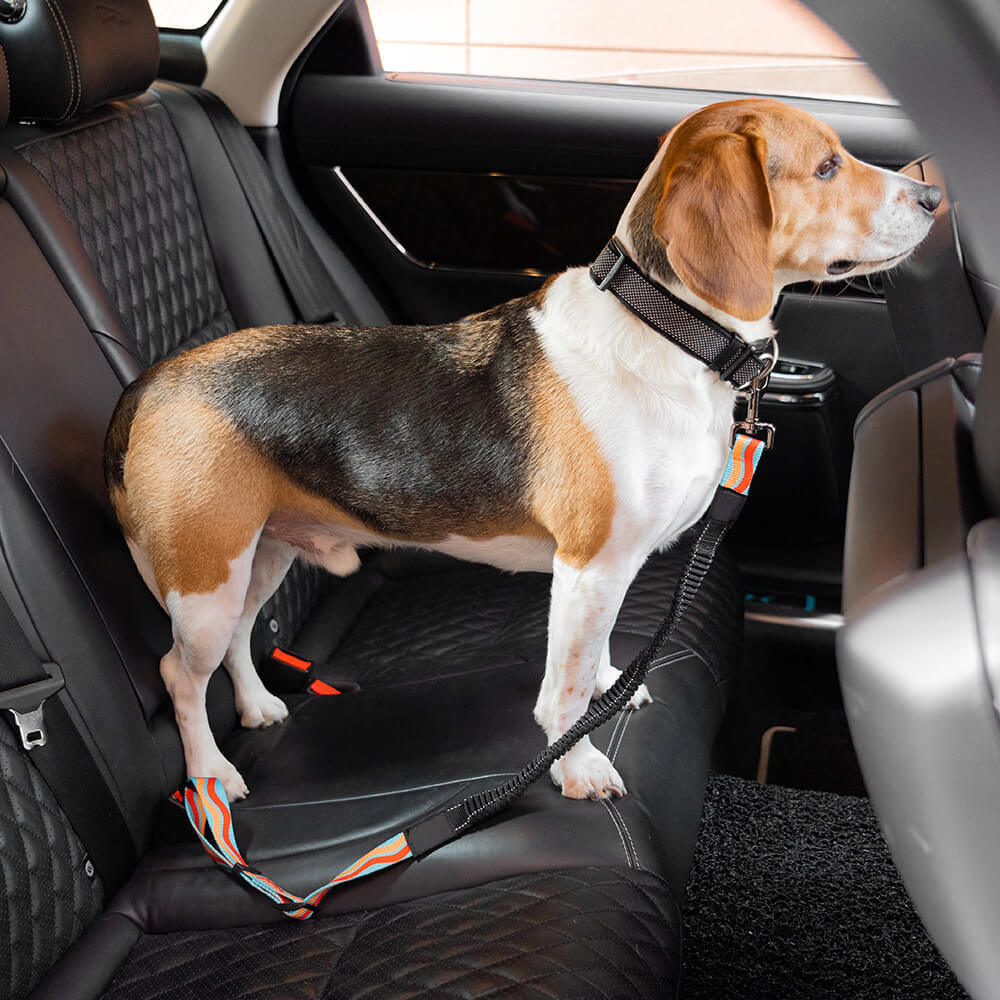 Colorful Buffer Adjustable Cool Dog Accessories Car Seat Belt - Image 3