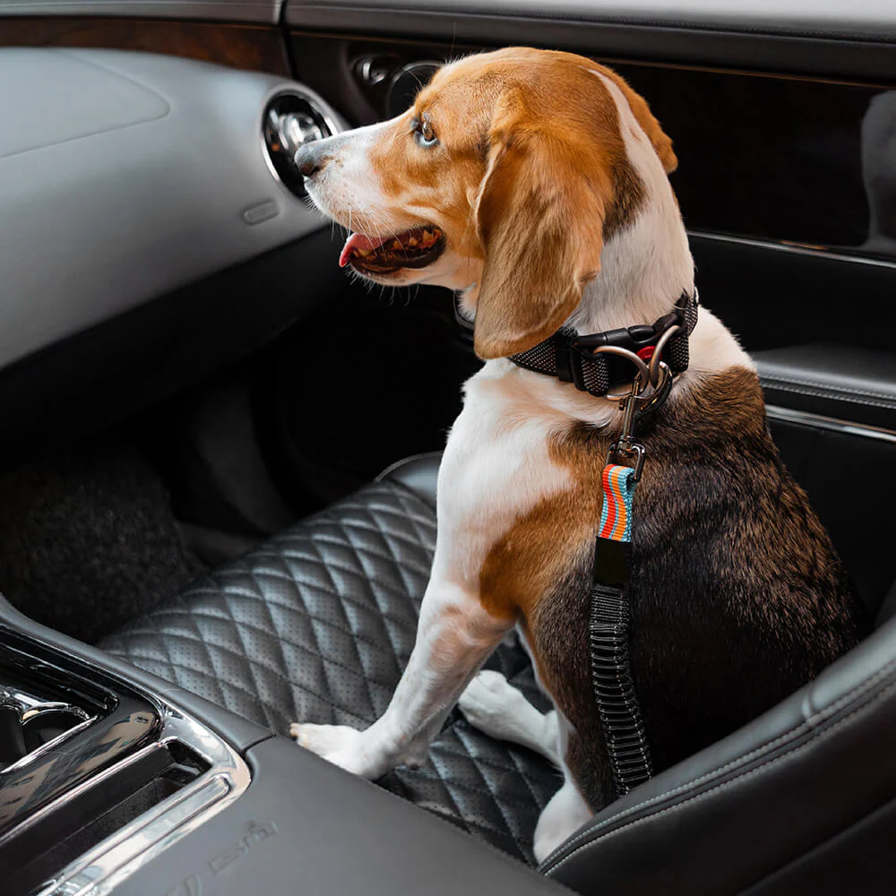 Colorful Buffer Adjustable Cool Dog Accessories Car Seat Belt - Image 4