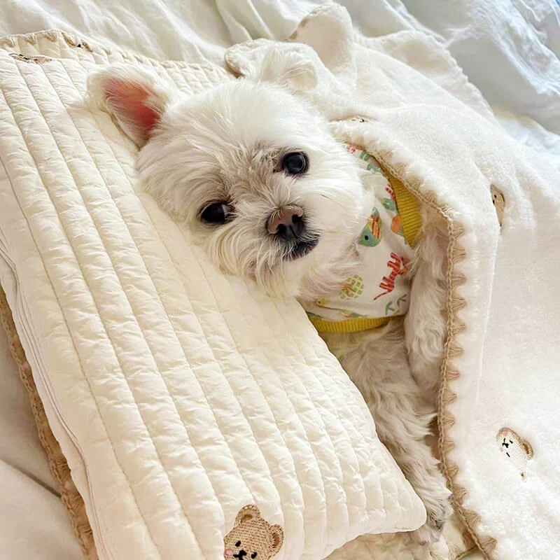 Cozy Embroidered Cotton Pet Pillow Quilt Bed Set - Image 3