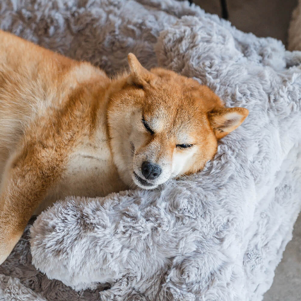 Warming Fluffy Bone Cloud Shape Calming Dog Bed - Image 10