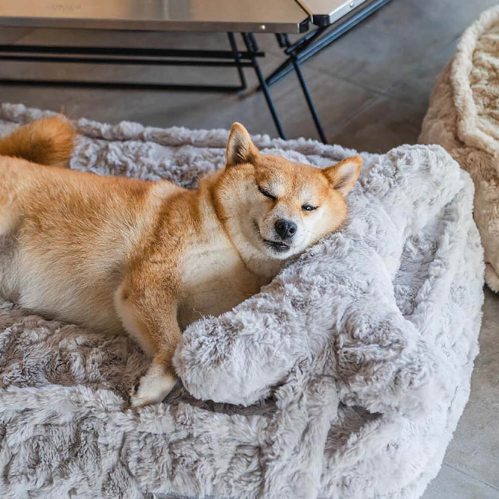 Warming Fluffy Bone Cloud Shape Calming Dog Bed - Image 6