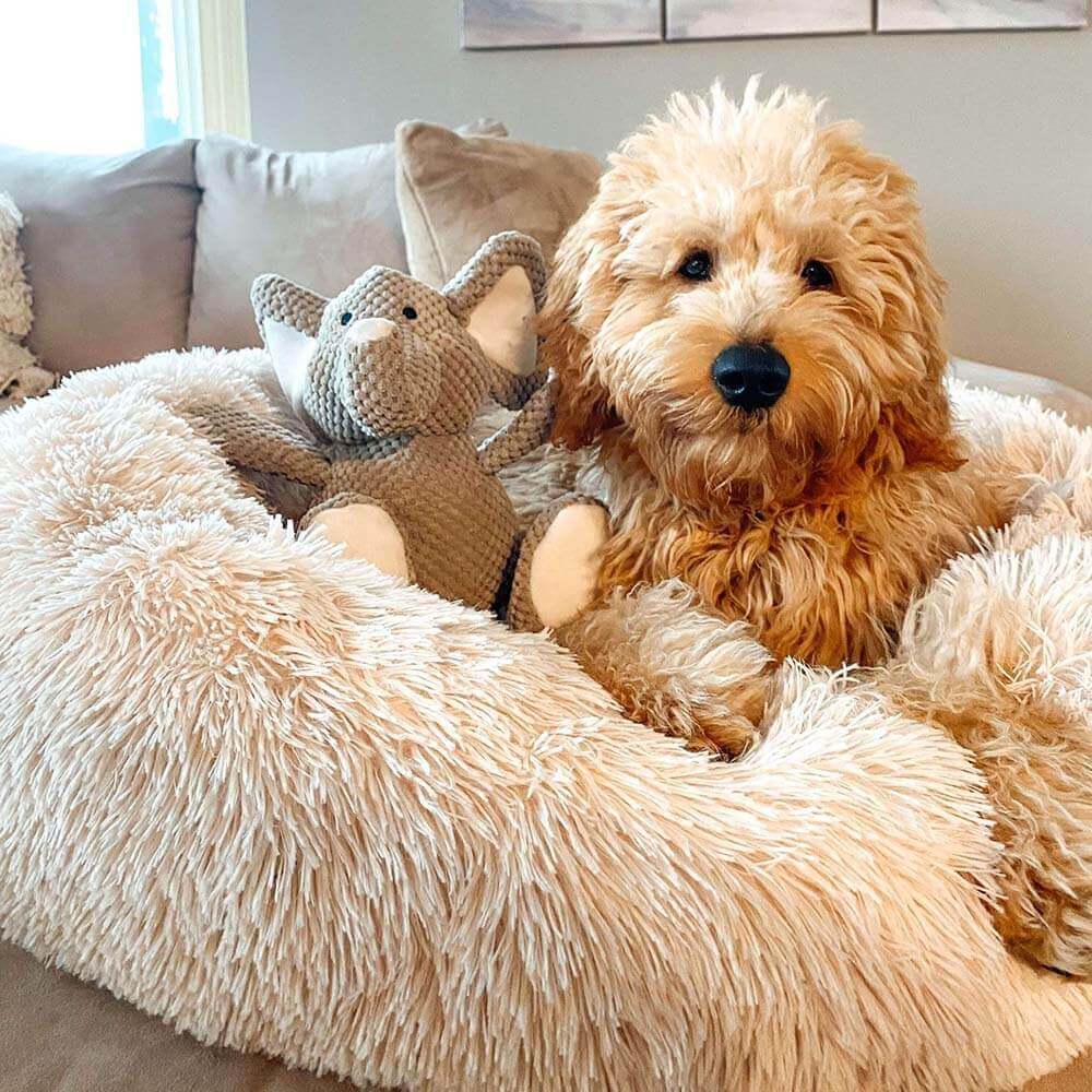 Fuzzy Round Fluffy Dog Bed - Image 10