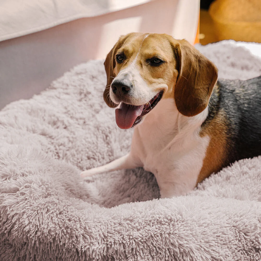 Fuzzy Round Fluffy Dog Bed - Image 3