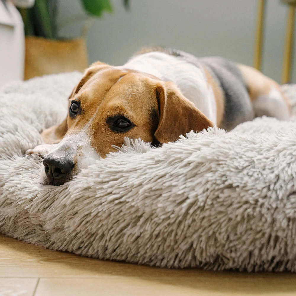 Fuzzy Round Fluffy Dog Bed - Image 6