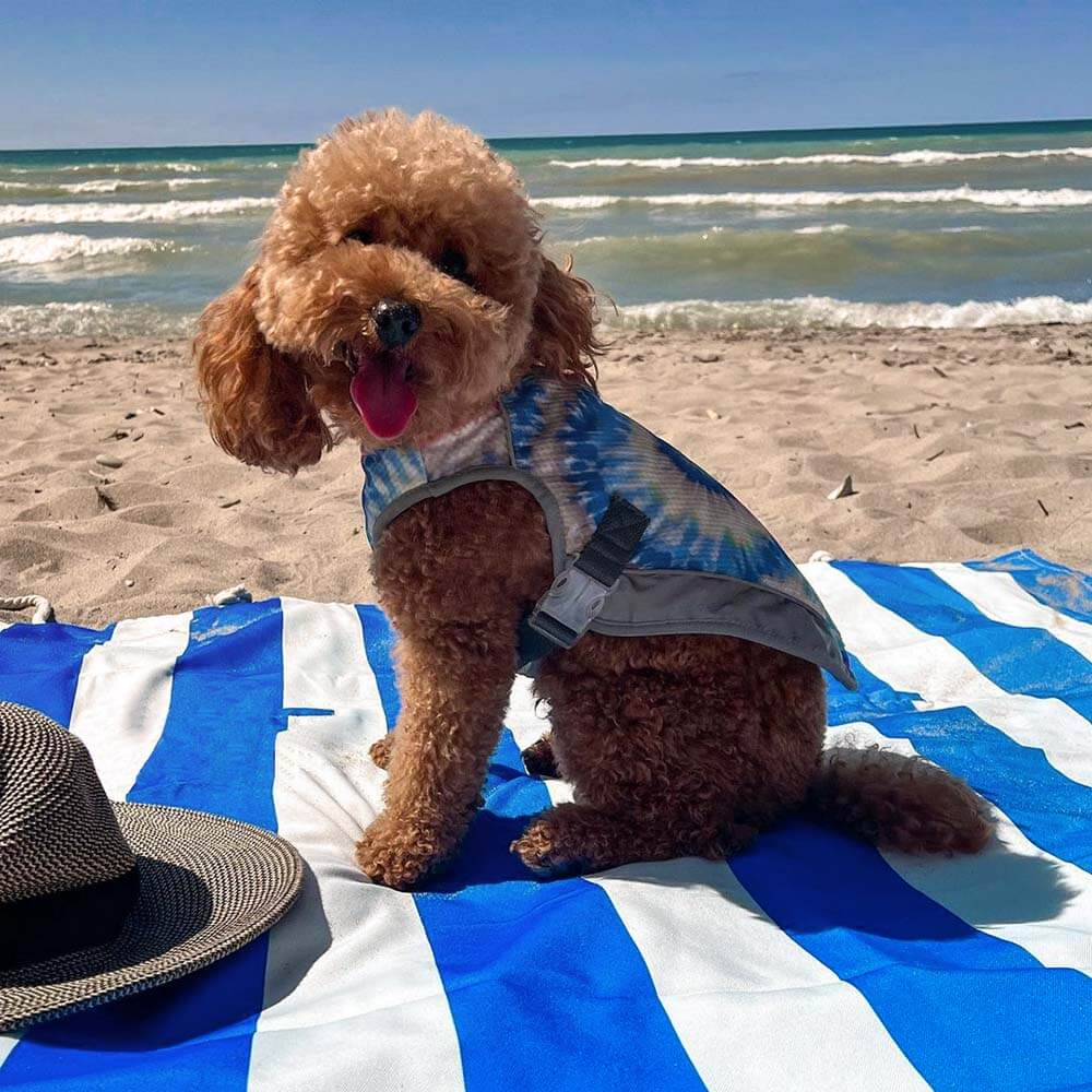 Dog Car Seat Cover- Holiday - Image 6