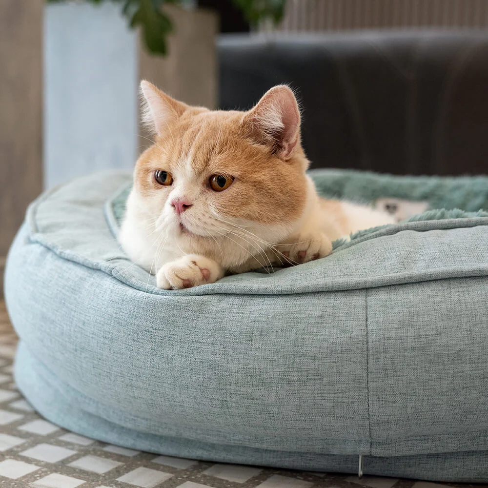 Donut Fluffy Orthopedic Dog Bed - Image 14