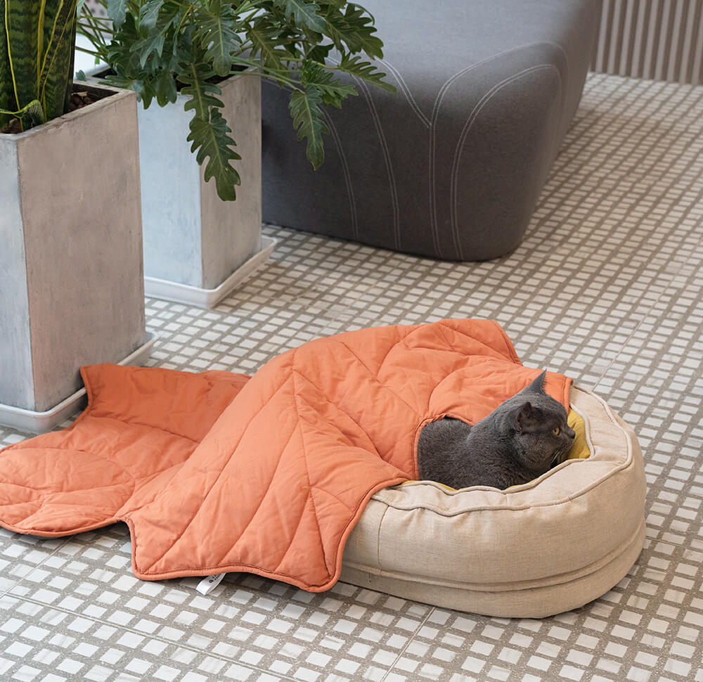 Donut Fluffy Orthopedic Dog Bed - Image 17