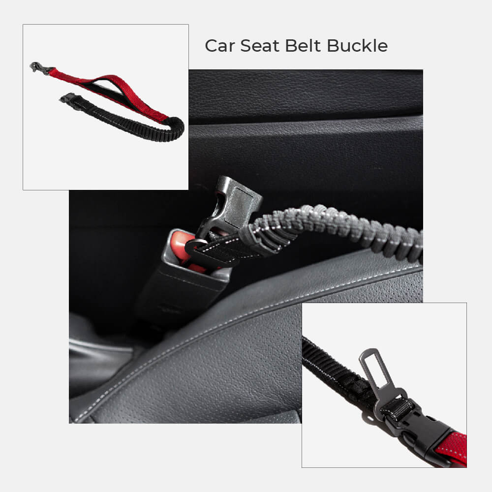 Multifunction Hands Free Dog Leash With Safety Seat Belt - Image 5