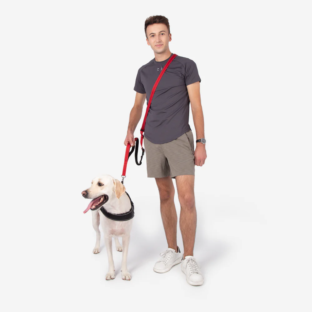 Multifunction Hands Free Dog Leash With Safety Seat Belt - Image 6