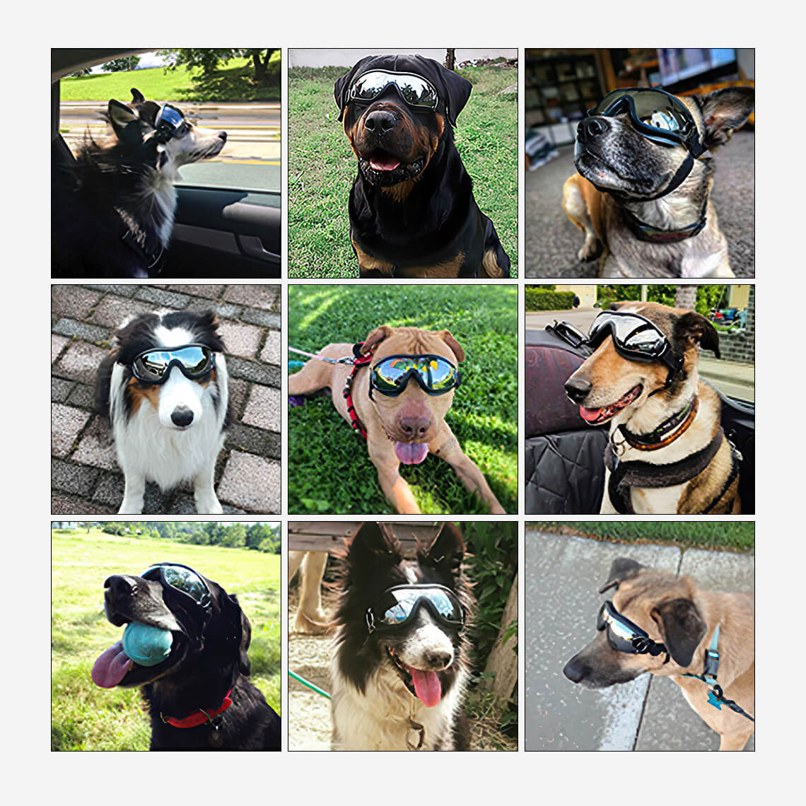 Goggles For Big Cool Dog Accessories - Image 5
