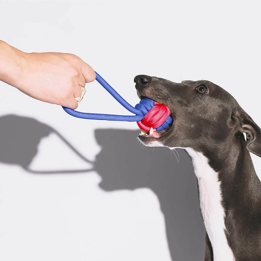 Knots Rope Dog Toy Set - Color Clash - Image 3