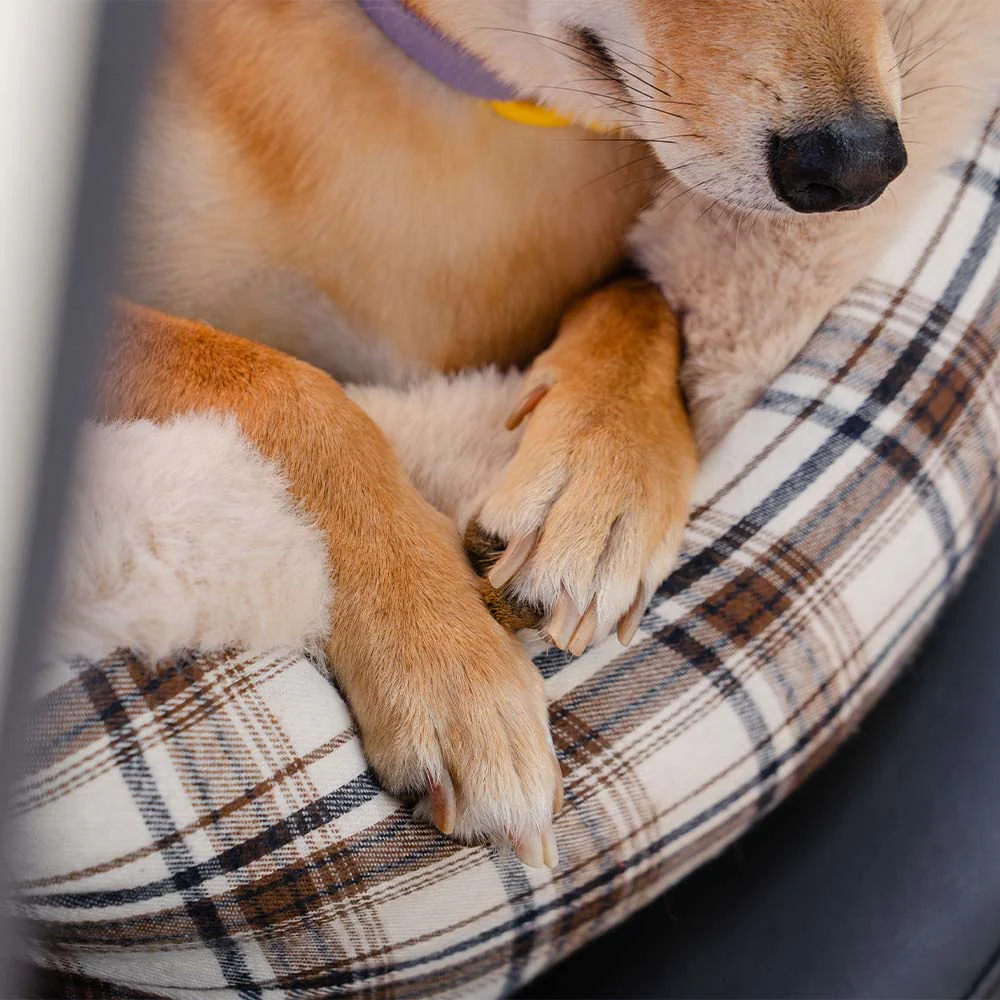 Large Classic Fluffy Booster Dog Car Seat-Keep Secure - Image 8