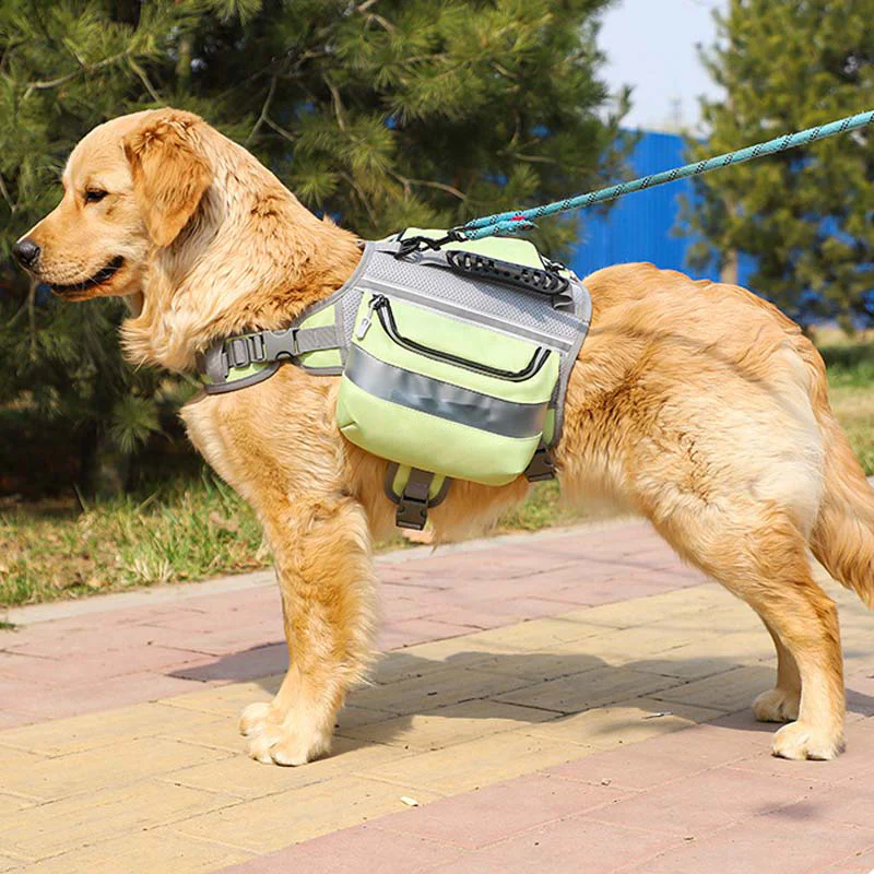 Large Dogs Tactical Dog Harness Self-Pack - Image 7