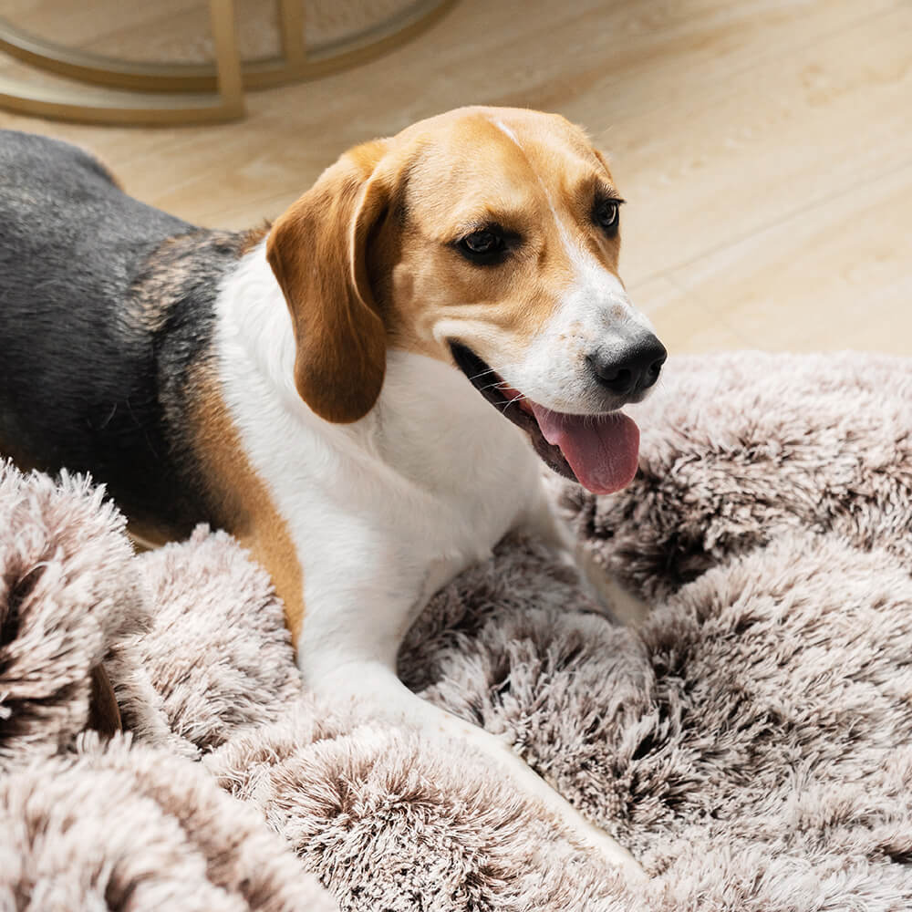 Large Round Dog Bed - Fuzzy Paw - Image 6