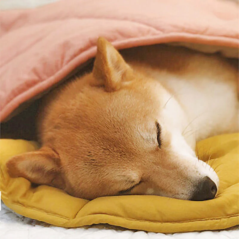 Leaf Shape Dog Blanket - Image 14
