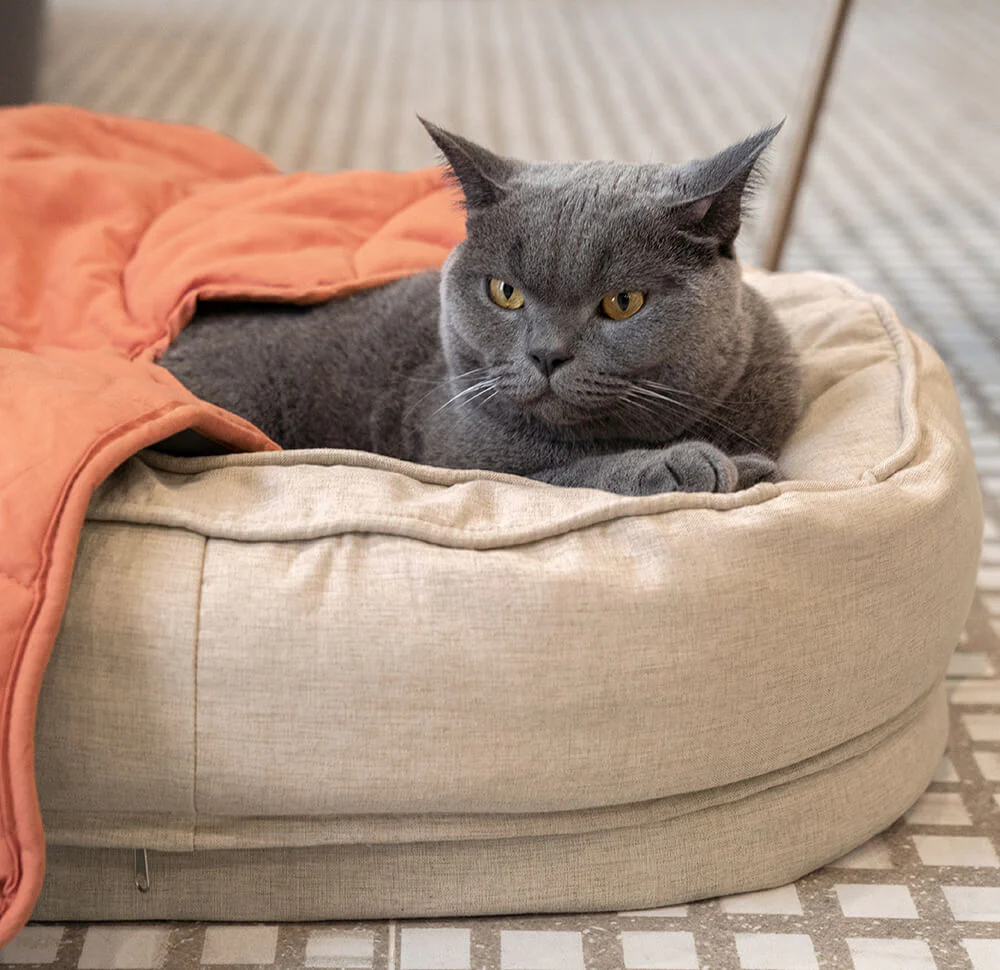 Leaf Shape Dog Blanket With Donut Dog Bed Luxury Dog Gifts - Image 14