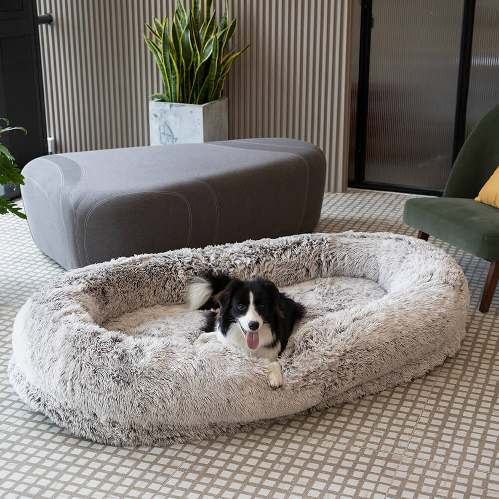 Luxury Super Large Sleep Deeper Oval Bed Human Dog Bed - Image 17