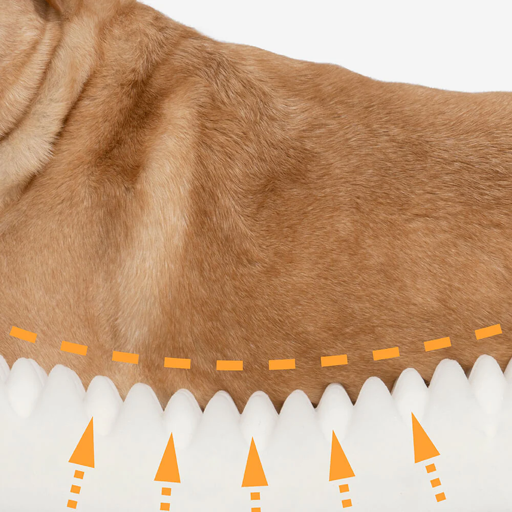 Luxury Super Large Sleep Deeper Oval Bed Human Dog Bed - Image 9