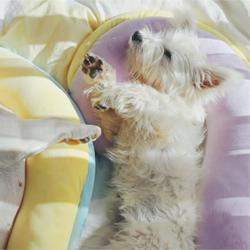 Orthopedic Spine-Support Pillow Dog Sleep Pillow - Image 7