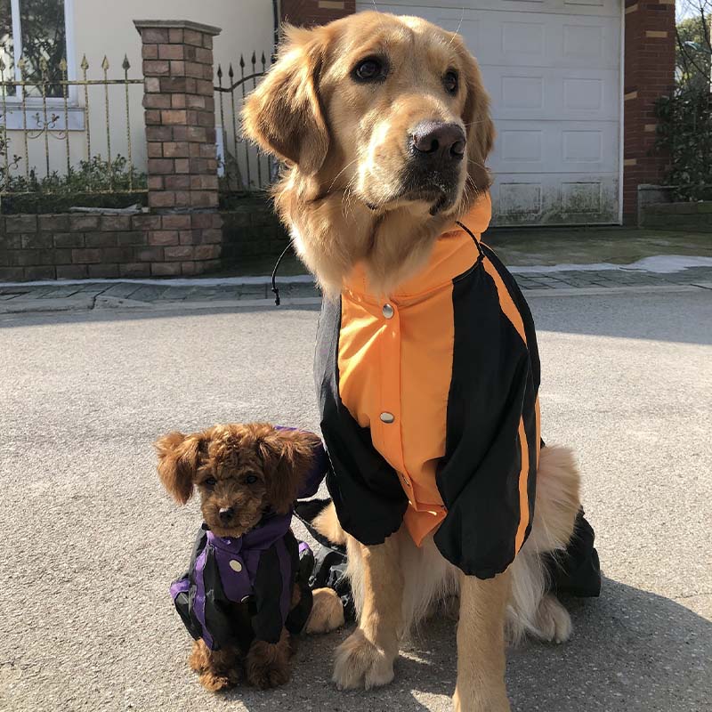 Oxford Fabric Waterproof Dog Full-Cover Raincoat with Legs and Hood - Image 13