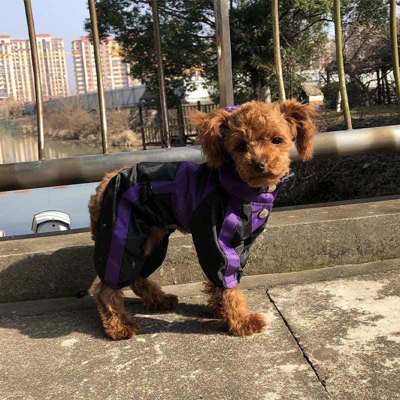 Oxford Fabric Waterproof Dog Full-Cover Raincoat with Legs and Hood - Image 15