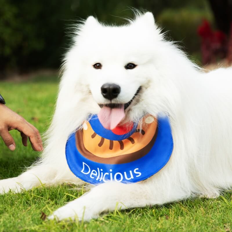 Pet Neckerchief Waterproof Cool Dog Accessories Drool Bib-Sausage - Image 12