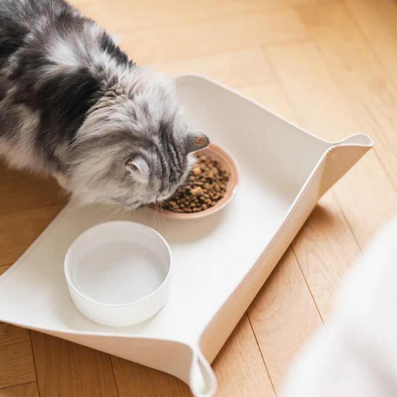 Pet Spill-proof Place Mats Waterproof & Greaseproof Bowl Mat - Image 10