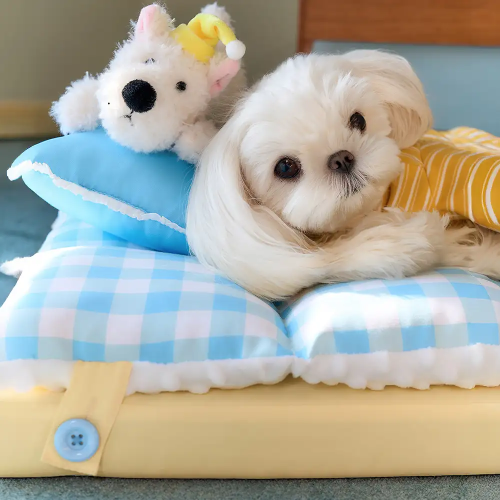 Play And Rest All-In-One Double-Layer Comfortable Washable Dog Bed - Pet Exclusive - Image 3