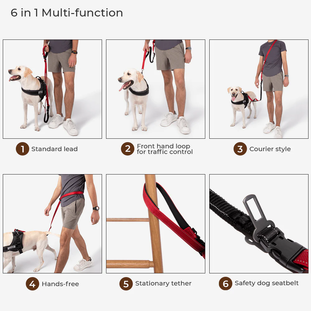 Reflective All-weather Waterproof Cool Dog Accessories Rain Coat - Image 10