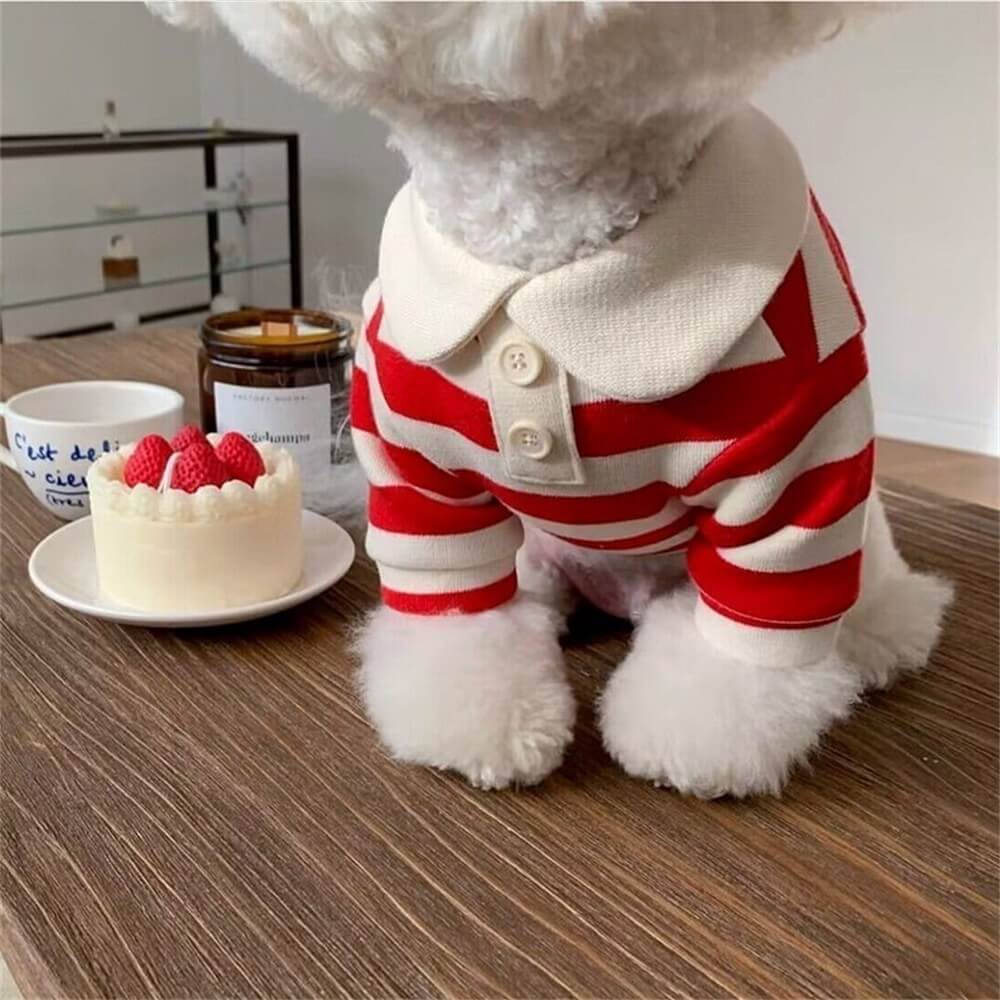 Classic Striped Polo Dog Shirts - Image 11