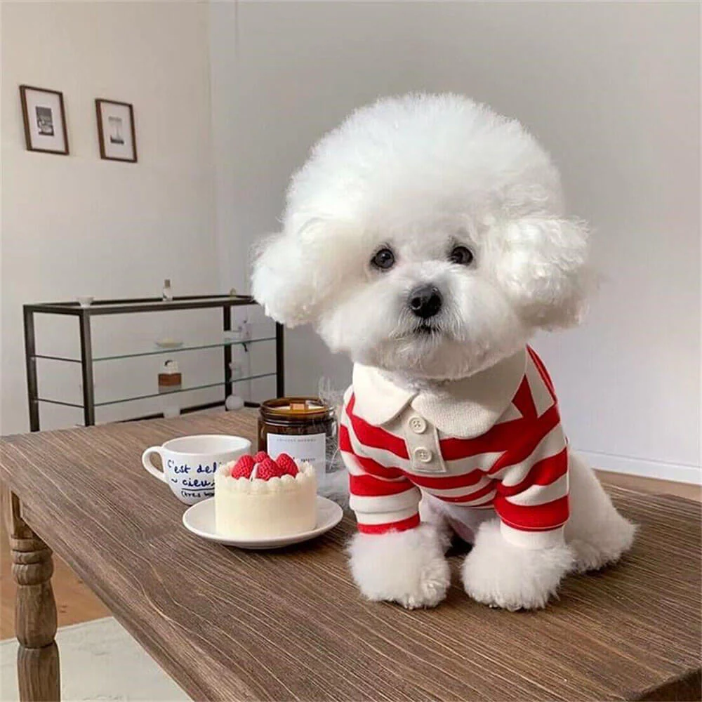 Classic Striped Polo Dog Shirts - Image 12