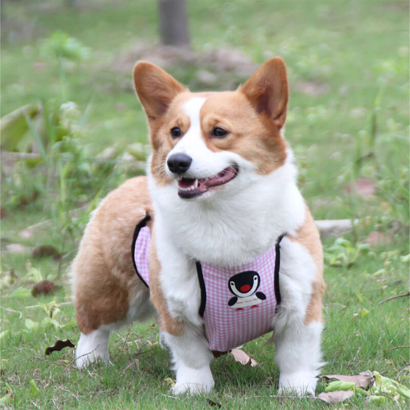 Waterproof Plaid Pet Slobber Bib Dog Belly Cover - Image 10