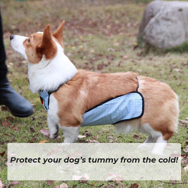 Waterproof Plaid Pet Slobber Bib Dog Belly Cover - Image 5