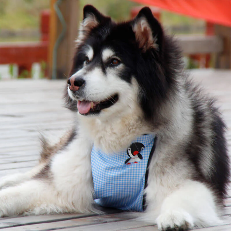 Waterproof Plaid Pet Slobber Bib Dog Belly Cover - Image 9